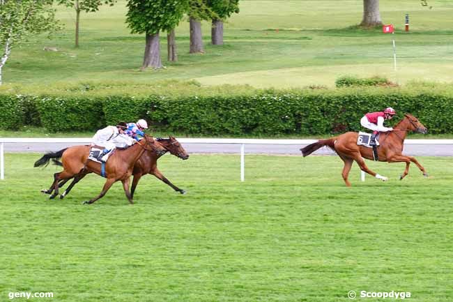 13/05/2013 - Maisons-Laffitte - Prix Kizil Kourgan : Arrivée