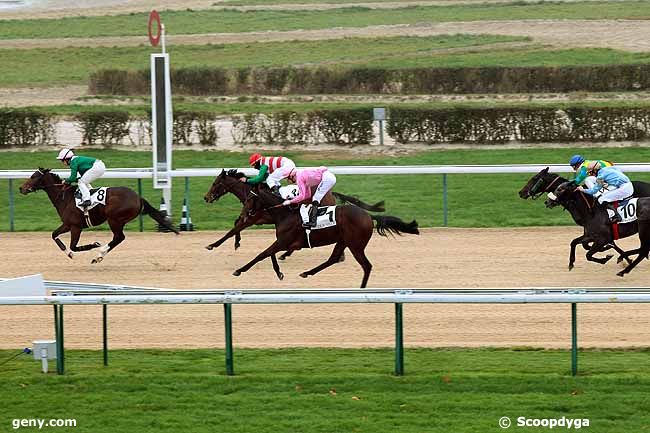 03/12/2013 - Deauville - Prix de Marolles : Arrivée