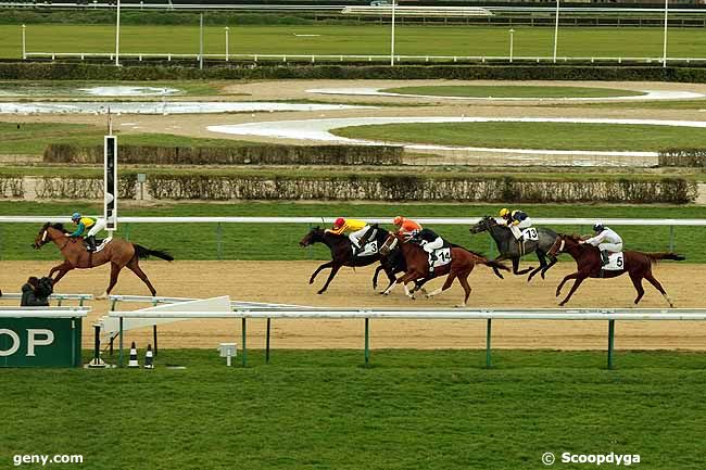 03/01/2014 - Deauville - Prix de la Coquetière : Arrivée