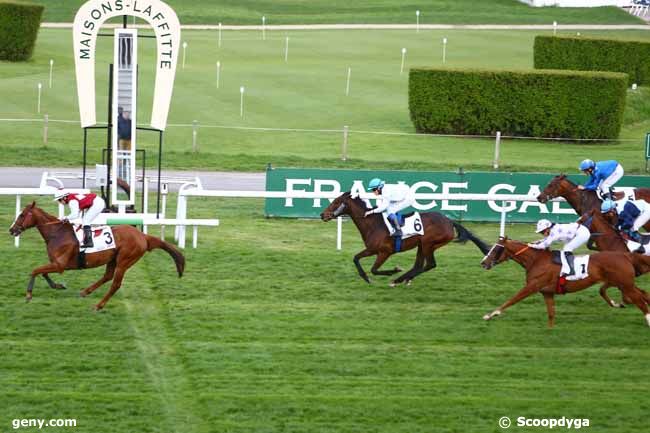 13/04/2016 - Maisons-Laffitte - Prix de la Clémenterie : Arrivée