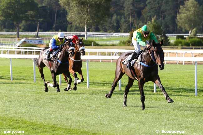 29/09/2016 - Fontainebleau - Prix Radio Evasion : Result