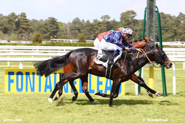 28/04/2017 - Fontainebleau - Prix de la Fontaine Desirée : Arrivée