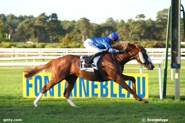 11/09/2018 - Fontainebleau - Prix de la Lande de Bruyère : Arrivée