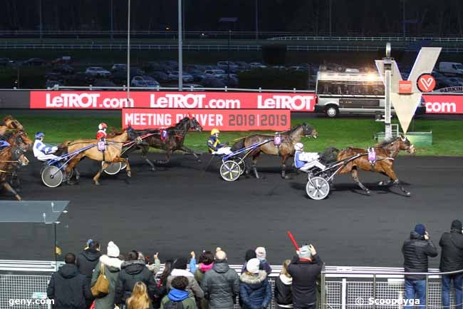 06/01/2019 - Vincennes - Prix de Salon-de-Provence : Ankunft