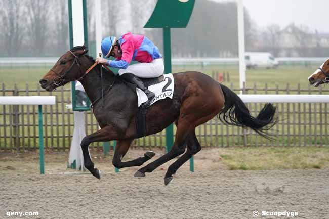 24/01/2020 - Chantilly - Prix de Bruyère-sur-Oise : Result