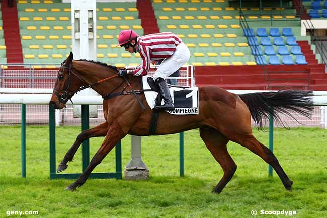 11/03/2020 - Compiègne - Prix Master Bob : Arrivée