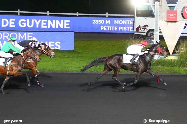 16/11/2020 - Vincennes - Prix de Miramont-de-Guyenne : Arrivée