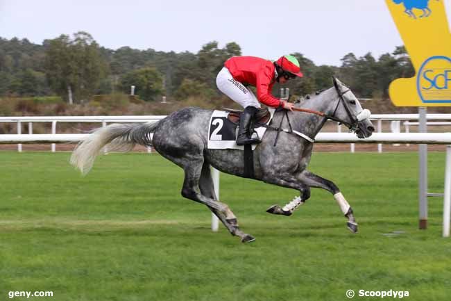 11/10/2022 - Fontainebleau - Prix de l'Ecole Militaire d'Equitation : Arrivée