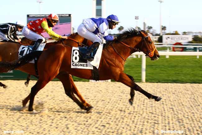 09/02/2023 - Cagnes-sur-Mer - Prix du Queyras : Arrivée