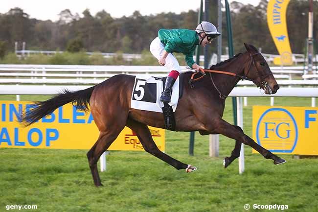 13/04/2024 - Fontainebleau - Prix des Sentiers Dénécourt : Arrivée