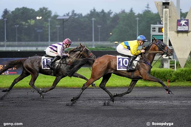 31/05/2024 - Vincennes - Prix Lavater - Etrier 4 Ans Q3 : Arrivée