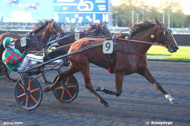 11/10/2024 - Vincennes - Prix Lucina : Arrivée