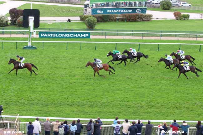 20/10/2024 - ParisLongchamp - Prix de Saint-Cyr : Arrivée