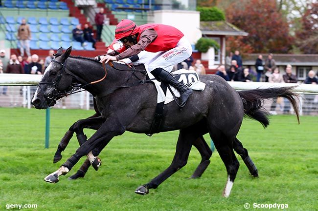 02/11/2024 - Compiègne - Prix de Saint-Raphaël : Arrivée