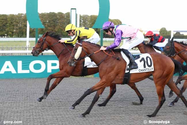 05/09/2025 - Chantilly - Prix de Cauffry : Arrivée
