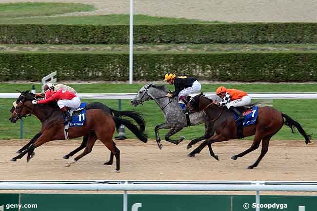 13/08/2009 - Deauville - Prix Etalon Nayef : Arrivée