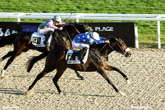 21/01/2013 - Cagnes-sur-Mer - Prix du Vieux Port : Arrivée