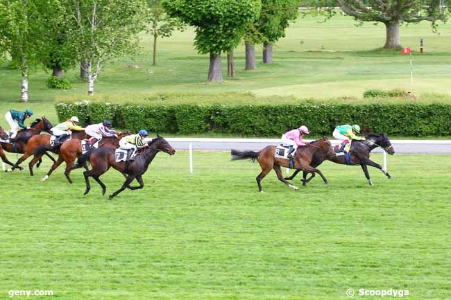 13/05/2013 - Maisons-Laffitte - Prix de la Clémenterie : Ankunft