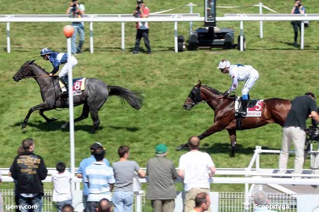 14/08/2013 - Clairefontaine-Deauville - Prix des Camélias (Prix Agapa*****) : Ankunft