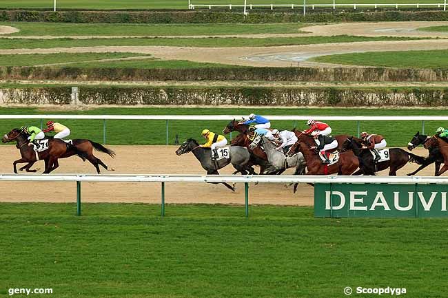 04/12/2013 - Deauville - Prix de Bréhal : Result