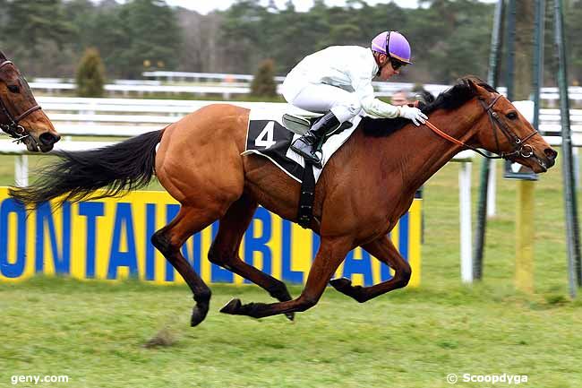 27/03/2015 - Fontainebleau - Prix de Héricy-sur-Seine : Arrivée