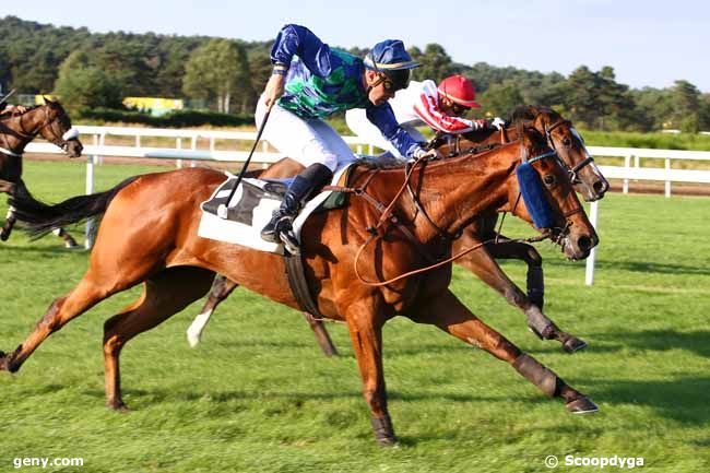 29/09/2016 - Fontainebleau - Prix Pierre Debroise : Arrivée