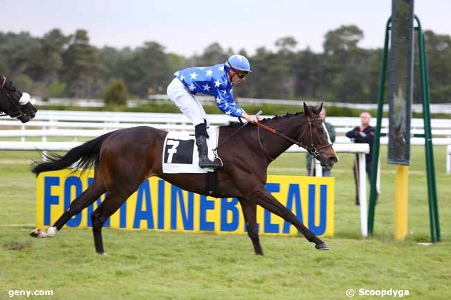 28/04/2017 - Fontainebleau - Prix de la Lande de Bruyère : Arrivée