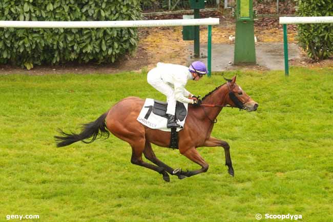 03/05/2017 - Chantilly - Prix du Viaduc de Commelles : Arrivée