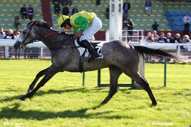 14/05/2019 - Compiègne - Prix Collins : Ankunft