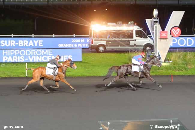 02/11/2020 - Vincennes - Prix de Savigny-sur-Braye : Arrivée