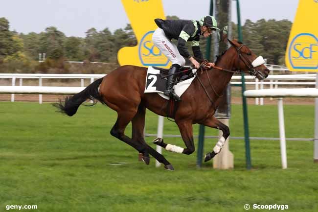 11/10/2022 - Fontainebleau - Prix du Grand Parquet : Arrivée