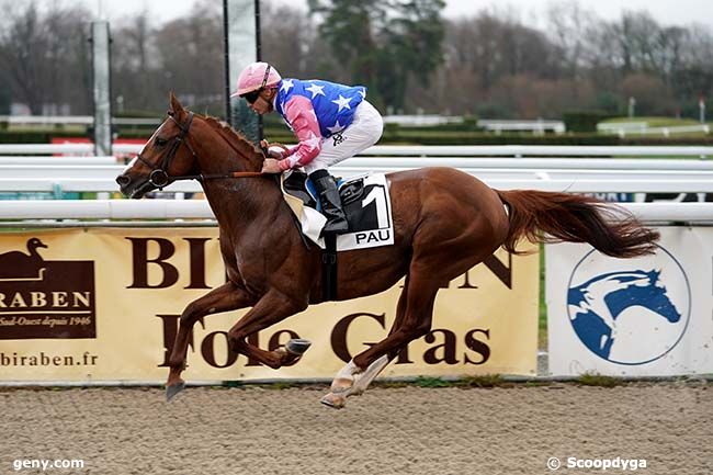 11/01/2023 - Pau - Prix Wathba Stallions Cup - Haras de Gelos : Ankunft