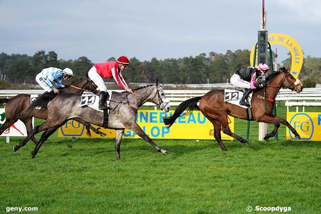 20/02/2024 - Fontainebleau - Prix des Haras Nationaux : Arrivée