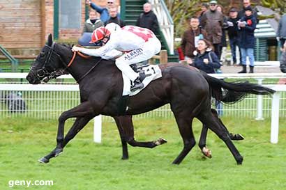 02/03/2024 - Fontainebleau - Prix du Rocher de Bouligny : Arrivée