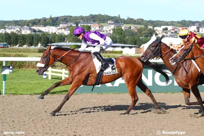 28/07/2024 - Deauville - Prix de Pont-l'Evêque : Ankunft