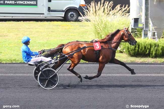 21/08/2024 - Vincennes - Prix de Noailles : Arrivée