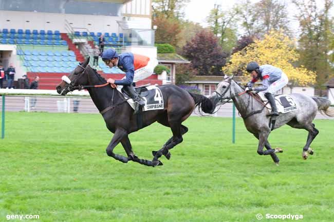 21/10/2024 - Compiègne - Prix Louis Champion : Arrivée