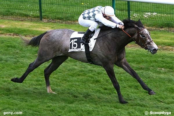 29/04/2008 - Chantilly - Prix des Soixante Arpents : Arrivée