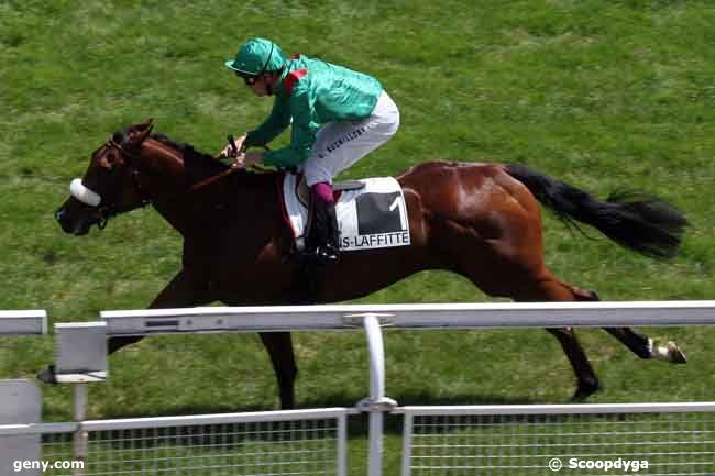 17/06/2009 - Maisons-Laffitte - Prix la Flèche : Arrivée