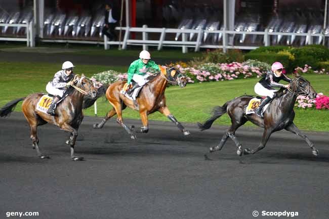 19/09/2014 - Vincennes - Prix Hydrus : Ankunft