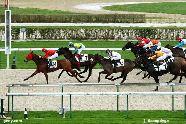 26/12/2014 - Deauville - Prix de Mérité : Ankunft