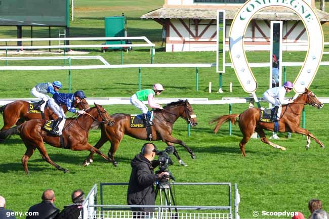 26/10/2015 - Compiègne - Prix de Pierrefonds : Result