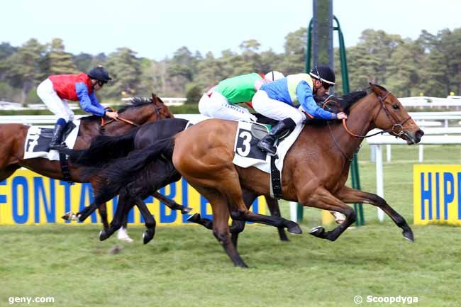 28/04/2017 - Fontainebleau - Prix de la Plaine des Sablons : Arrivée