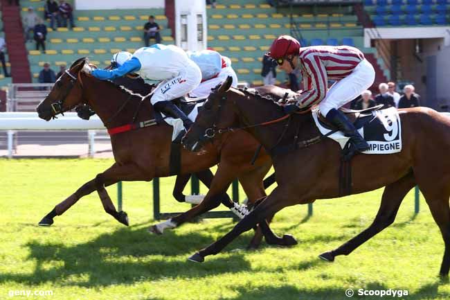 14/05/2019 - Compiègne - Prix du Grand Maître : Result