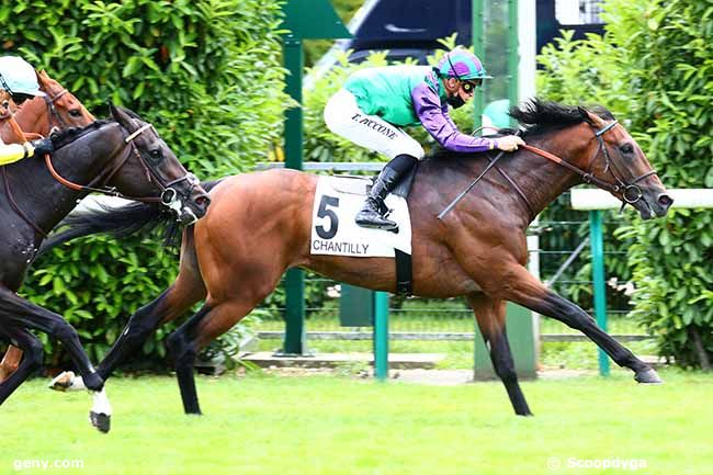 19/06/2020 - Chantilly - Prix de Magdeleine : Arrivée