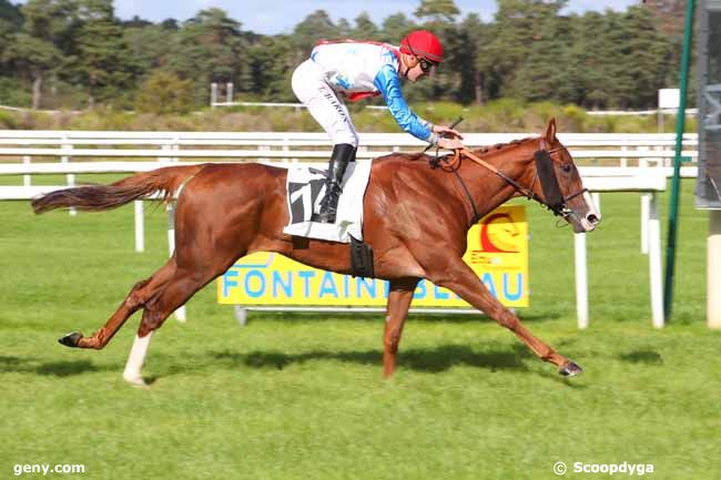 04/10/2021 - Fontainebleau - Prix des Biches : Ankunft