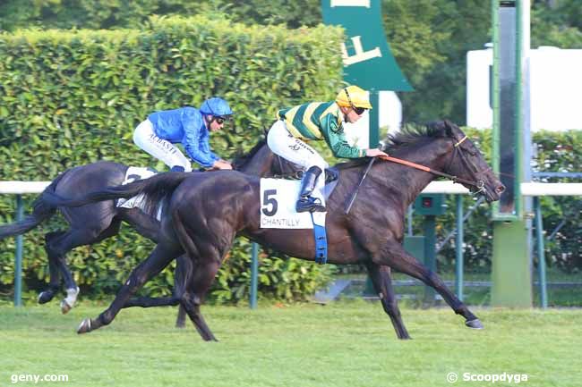 02/07/2022 - Chantilly - Prix de Magdeleine - Toyota Lexus : Result