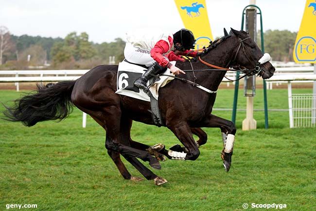 20/02/2024 - Fontainebleau - Prix Général Marion : Arrivée