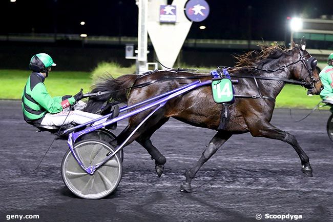 30/10/2024 - Vincennes - Prix de Morlaix : Arrivée