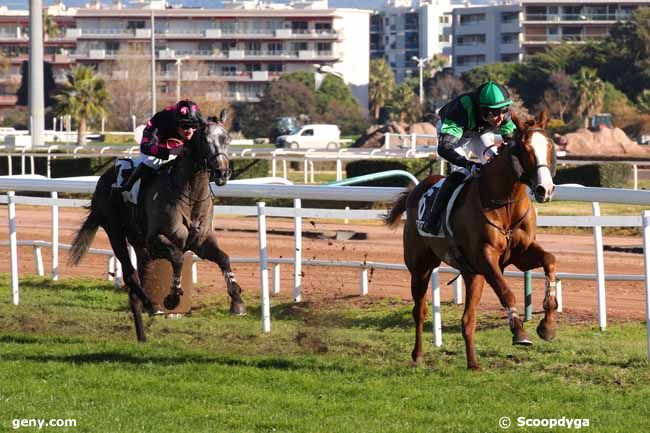 16/12/2024 - Cagnes-sur-Mer - Prix André Adèle : Arrivée